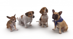 Dog Collection x4 3D Model