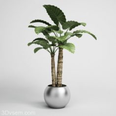 Palm Tree in Chrome Flower Pot 3D Model