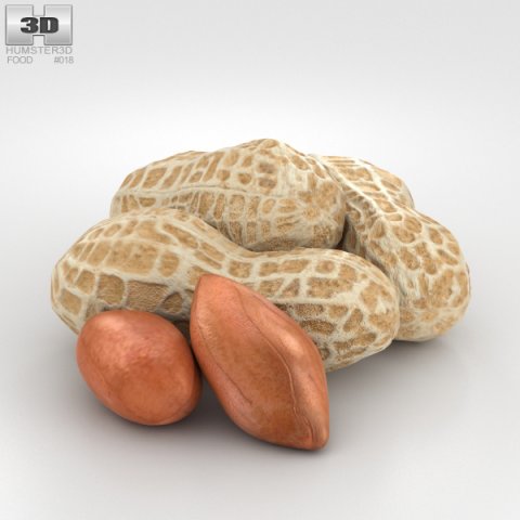 Peanuts 3D Model