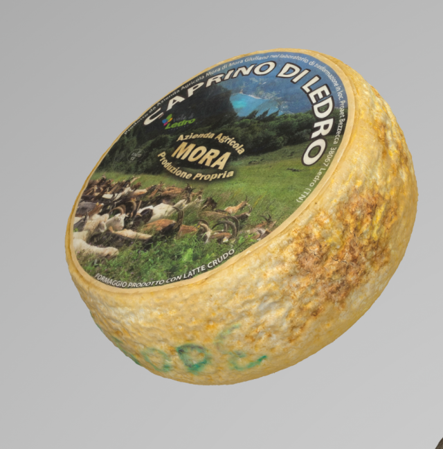 Cheese Goat wheel 3D Model