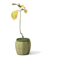 Flower pot 3 3D Model