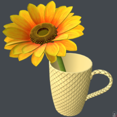 Sunflower in cup 3D Model