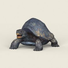 Game Ready Mountain Turtle 3D Model