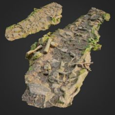 Ground stones C 3D Model