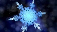 Snowflake Growth Animated And Obj Sequence 3D Model