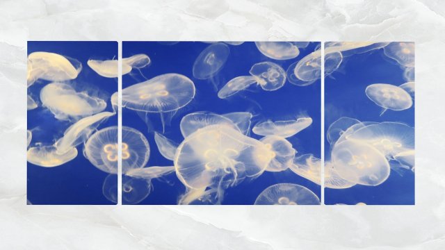 Triptych Wall Art Swarm of Jellyfish 3D Model