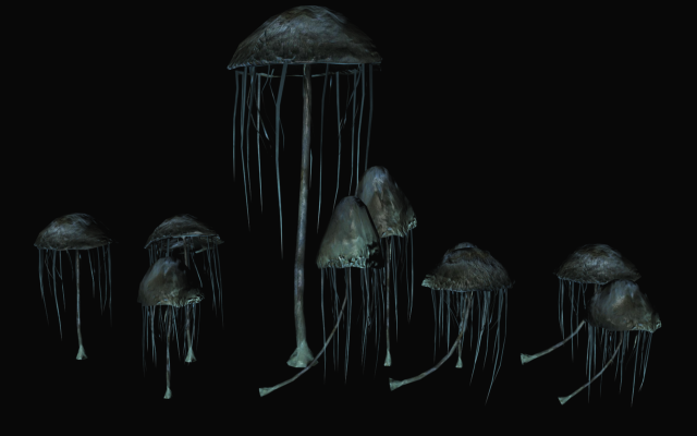 Black reach epic mushroom 01 3D Model