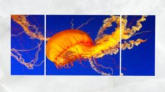Triptych Wall Art Jellyfish 1 3D Model