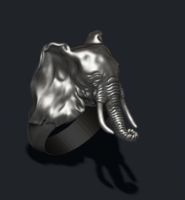Elephant ring 3D Model
