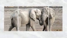 Triptych Wall Art Adult Elephants 3D Model