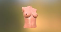 Female tits 3D Model