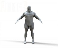 Athlete 3D Model