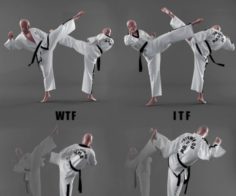 Form of taekwondo – CH1 3D Model