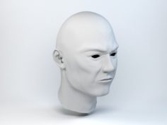 Male Head Base Mesh 3D Model