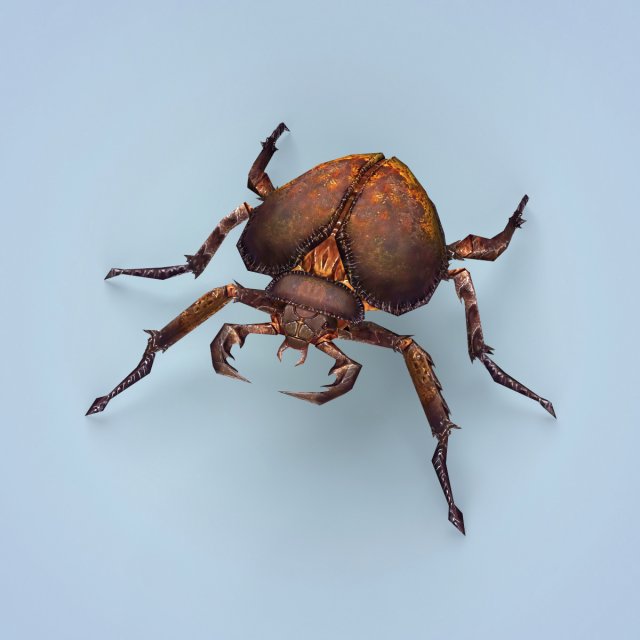 Fantasy Monster Bug 3D Model
