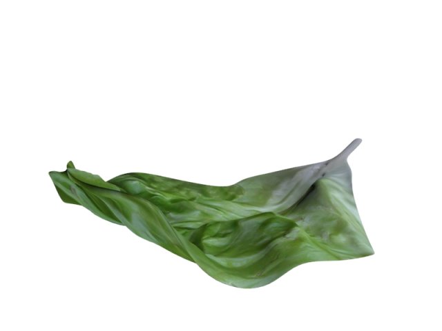 Lettuce Leaf 3D Model