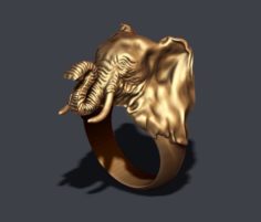 Elephant ring 3D Model