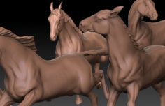 Flock of horse 3D Model