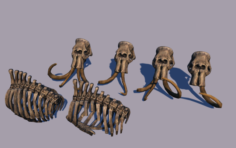 Mammoth skull ribcage 3D Model