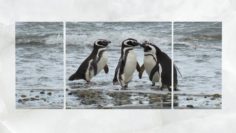 Triptych Wall Art Penguins 1 3D Model