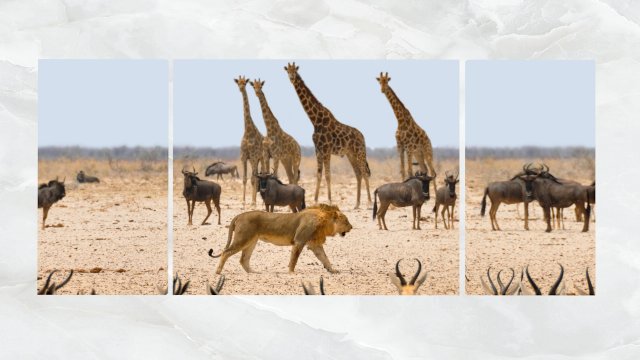 Triptych Wall Art African Safari 1 3D Model