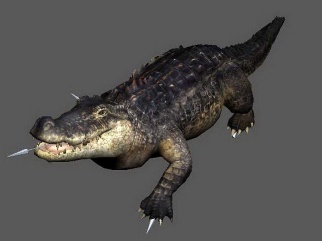 Crocodile water monster rig animated – A35 3D Model