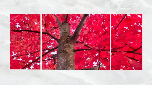 Triptych Wall Art Red Maple Tree 3D Model