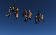 Hanging animals 3D Model