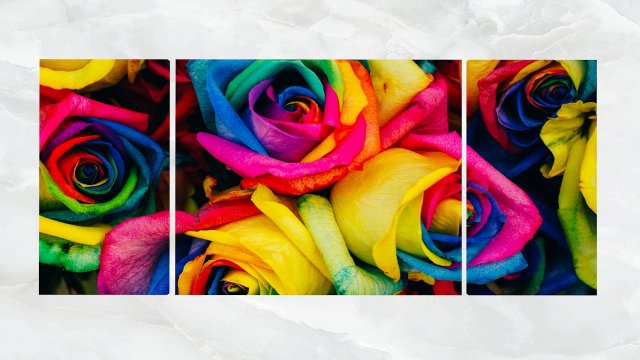 Triptych Wall Art Multicolored Roses 3D Model