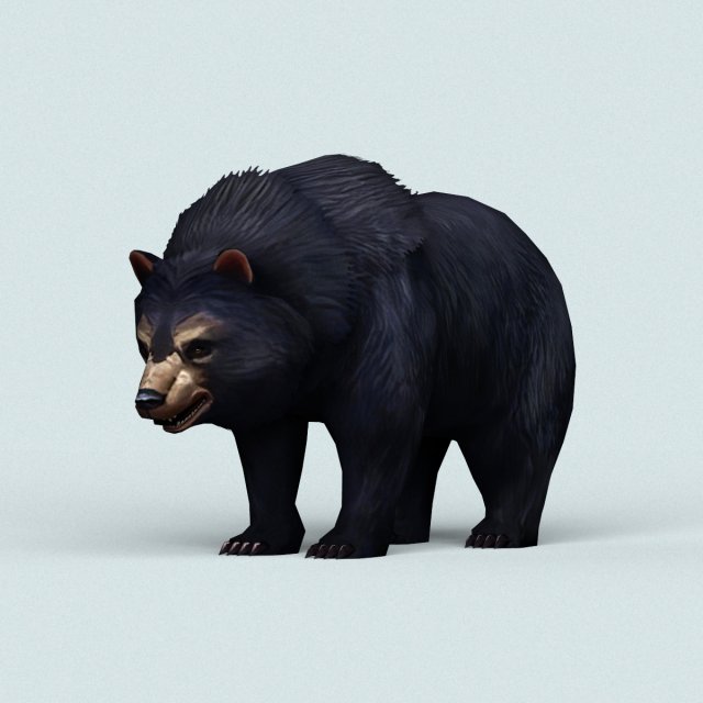 Wild Bear 3D Model