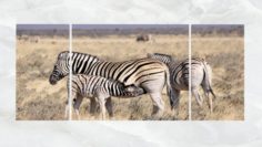 Triptych Wall Art Harem of Zebras 3D Model