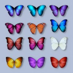 Colorful fantasy butterfly 3D Model