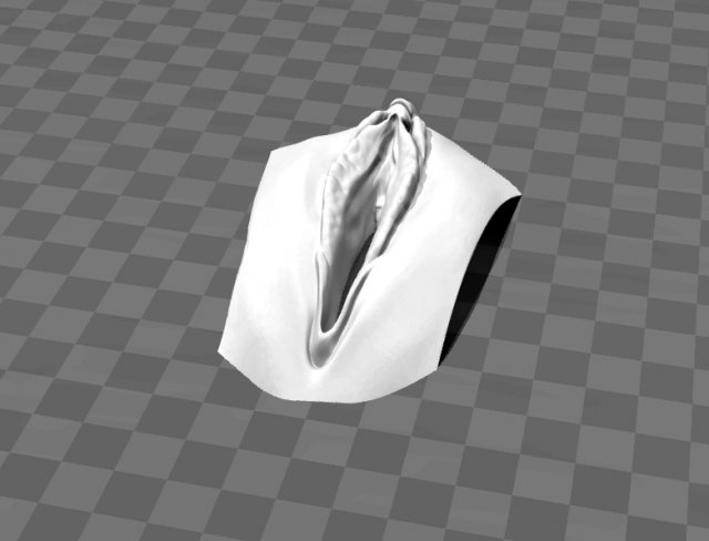 Vagina 3D Model