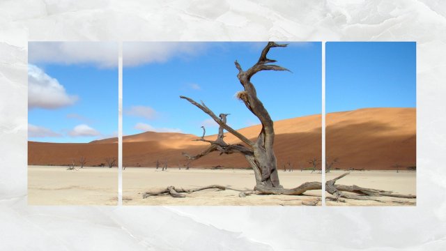 Triptych Wall Art Scenic Dead Tree 3D Model