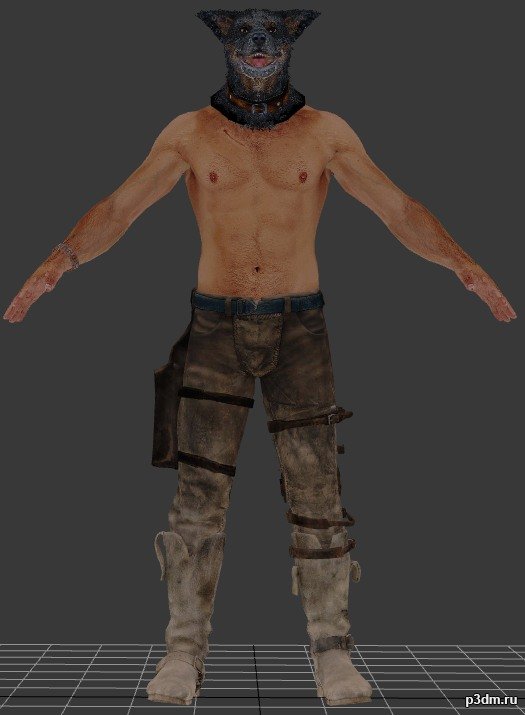 The Wolfman 3D Model