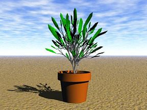 Plant 16 Free 3D Model