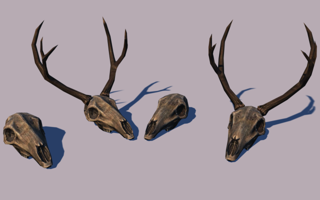 Deer skulls 3D Model