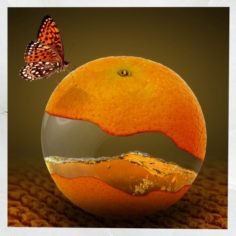 Canvas Art Surreal Orange Fruit 3D Model