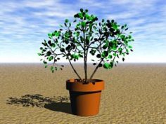 Plant 15 Free 3D Model
