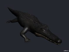 Crocodile (static) 3D Model