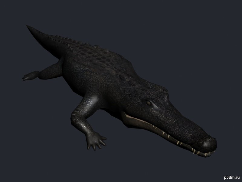Crocodile (static) 3D Model