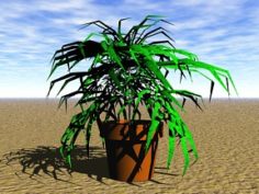 Plant 06 Free 3D Model