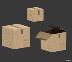 Cardboard 3D Model