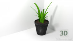 3D-Model 
The plant in a pot