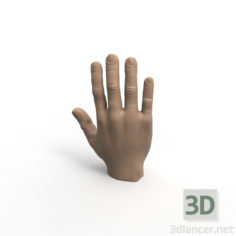 3D-Model 
Hand