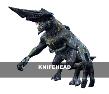 Knifehead 3D Model