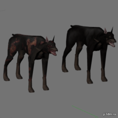 Dog and zombi dog 3D Model