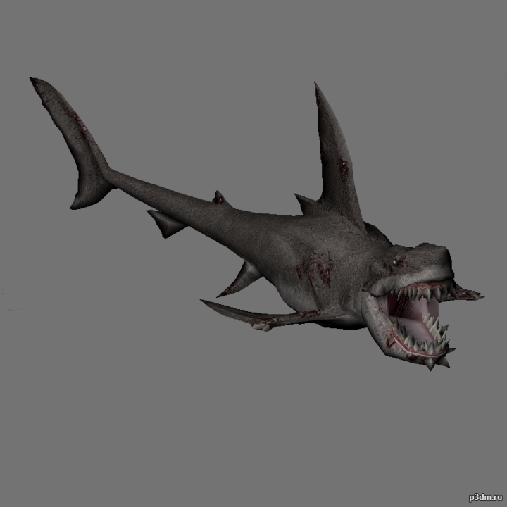 Zombi shark 2 3D Model
