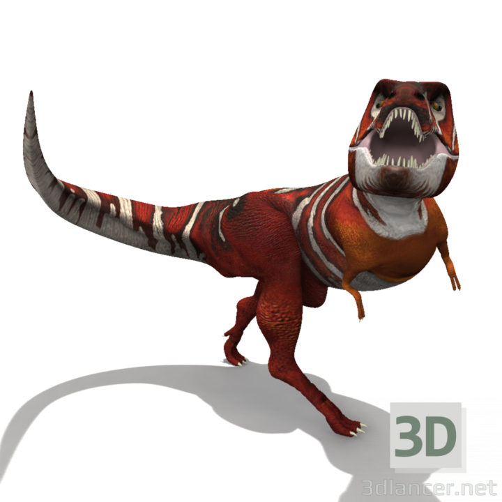 3D-Model 
Simple Tyrannosaurus