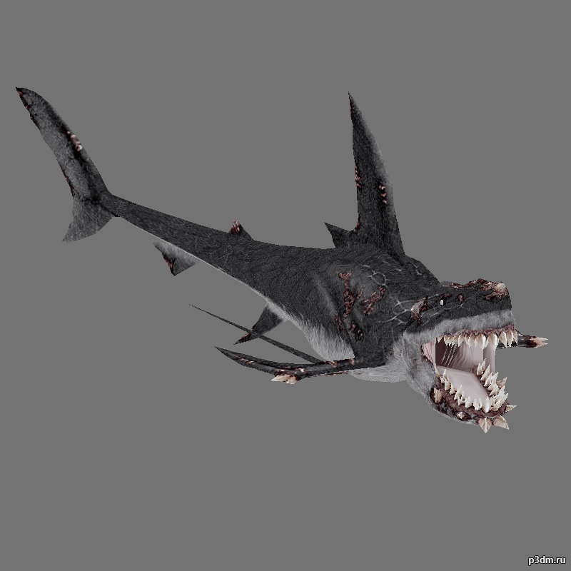Zombi shark 3D Model